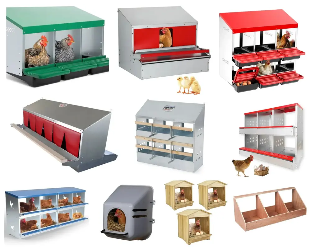 10 Best Nesting Boxes of 2025