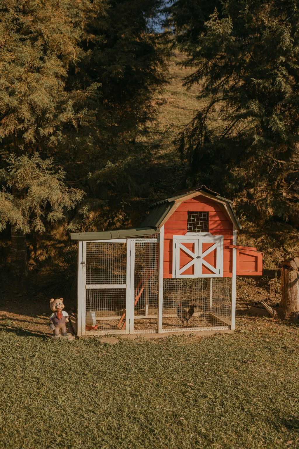 The Ultimate Chicken Coop Guide: Everything You Need To Know
