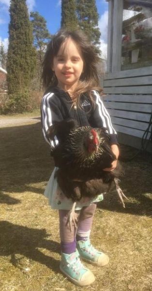 In awe from tail to feather - why chickens are the best pets