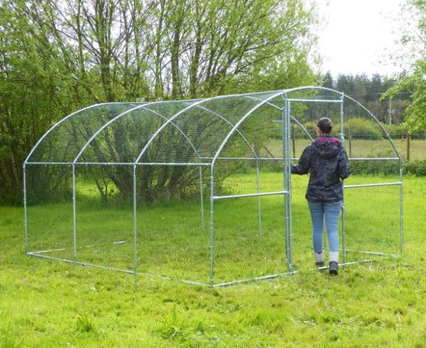 Walk-In Chicken Runs