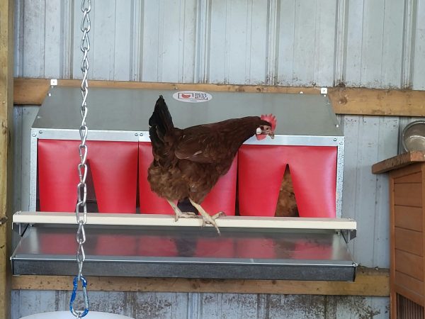 Community style rollout chicken nesting boxes