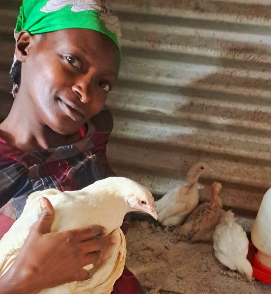 The Lost Chicken: An Amazing Story