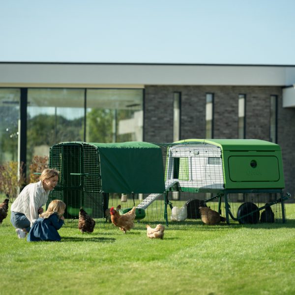 Omlet Chicken Coop with Run - Omlet Eglu Pro