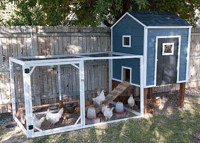 Chicken House Plan for 10 to 12 Chickens (creativehousewives)