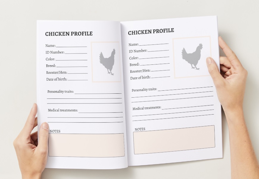 Free Chicken Log Page 6-7