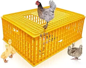 Chicken transport crates
