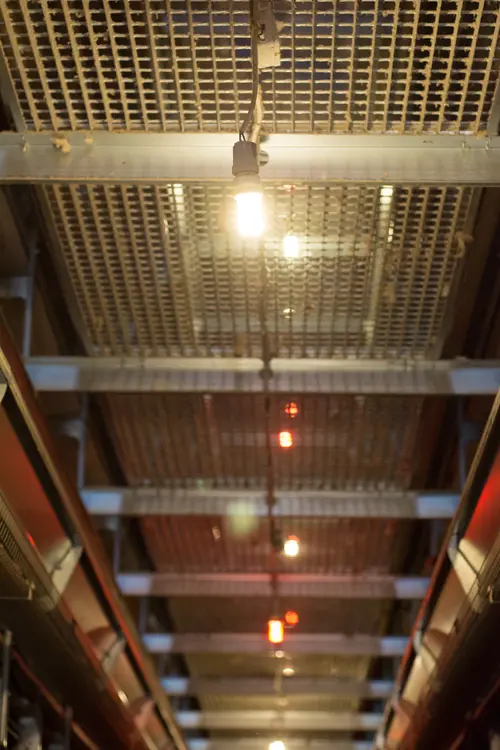 Even chicken light distribution