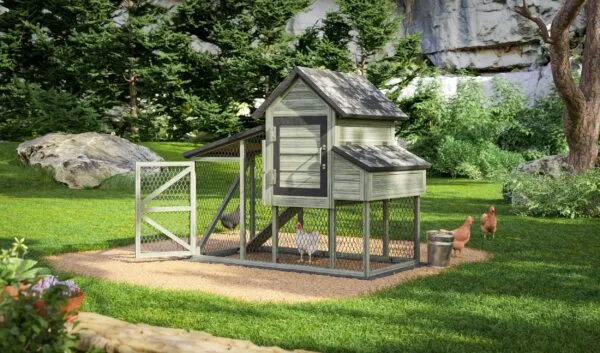 Free Small Chicken Coop Plan for 5 Chickens (EasyCoops)