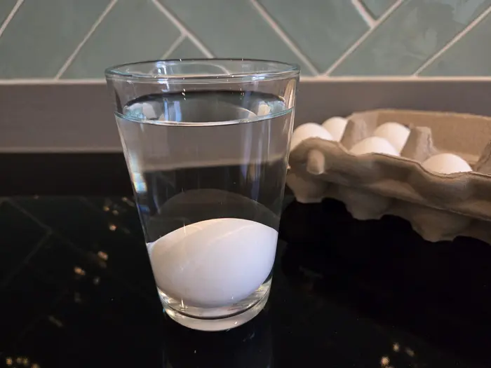 A fresh egg lies on the bottom in a glass of water during the float test for freshness