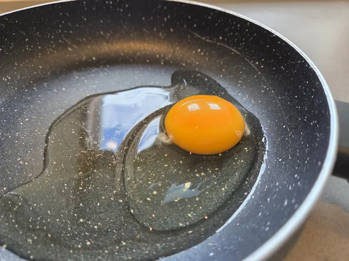 Fresh egg with a thick egg white