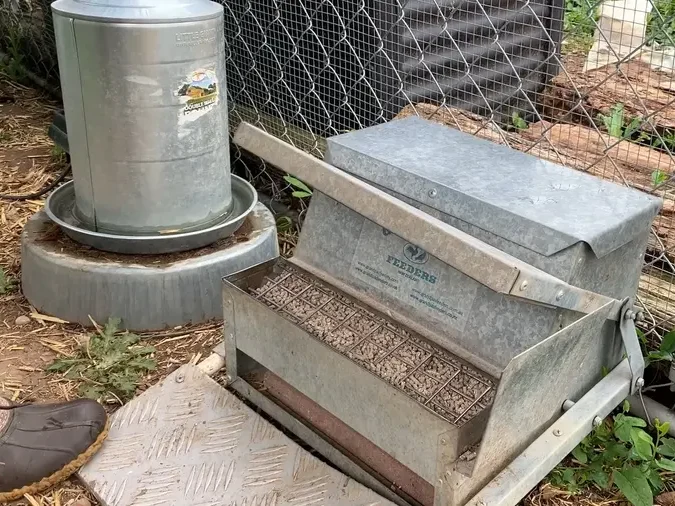 Grandpas automatic chicken feeder