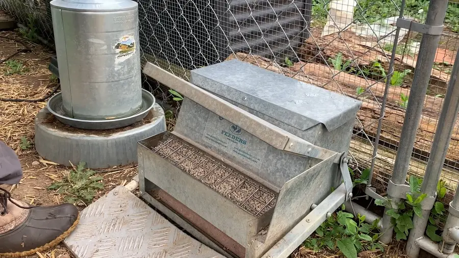 Grandpas automatic chicken feeder