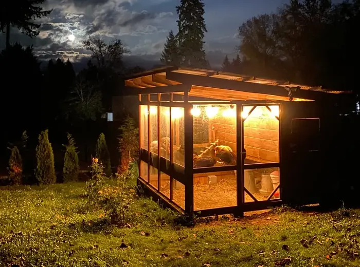 Lighted chicken coop at night (the Garden Coop)
