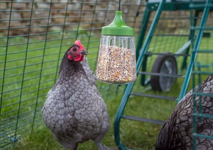 Omlet chicken peck toy