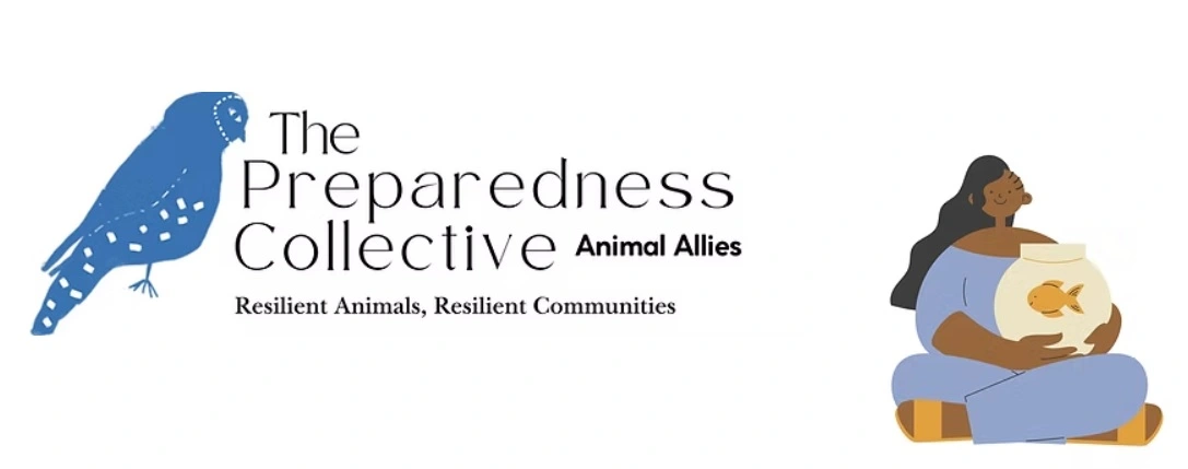 Preparedness Collective