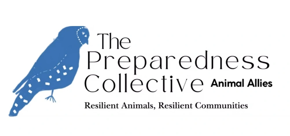 Preparedness Collective