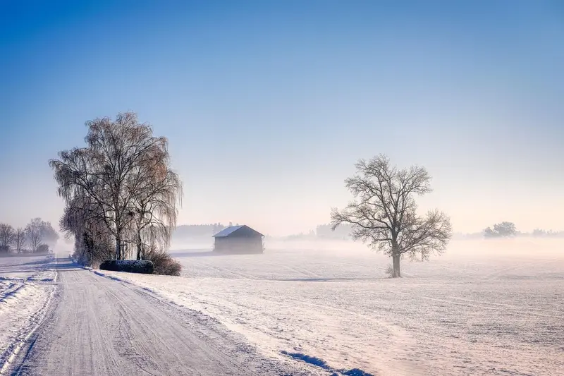 Shed in winter