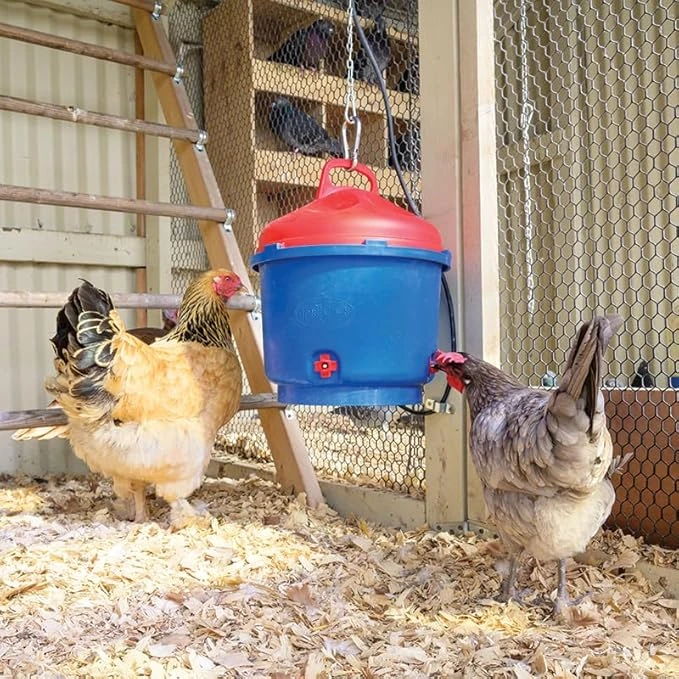 Use a heated Chicken Waterer to Keep Water From Freezing