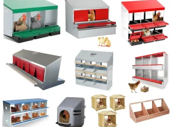 10 Best Nesting Boxes of 2025