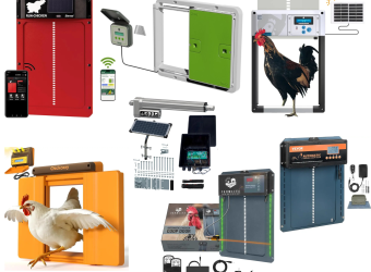 7 Best Automatic Chicken Coop Doors of 2025