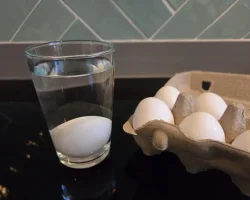 How to tell if an egg is fresh float test